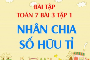 Bài tập nhân chia hai số hữu tỉ - Toán 7 bài 3 tập 1